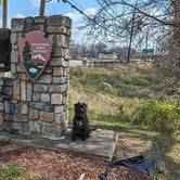 Review photo of Greenbelt Park Campground — Greenbelt Park by Mallory H., April 2, 2024