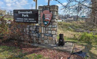 Mallory H.'s photo of camping with pets at Greenbelt Park Campground — Greenbelt Park near Clinton, MD