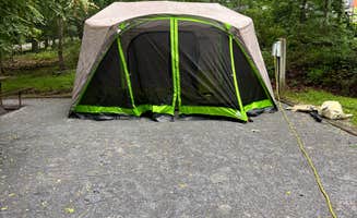 Michea J.'s photo at Greenbelt Park Campground — Greenbelt Park near Spencerville, MD