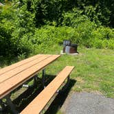 Review photo of Greenbelt Park Campground — Greenbelt Park by erwin S., May 28, 2025