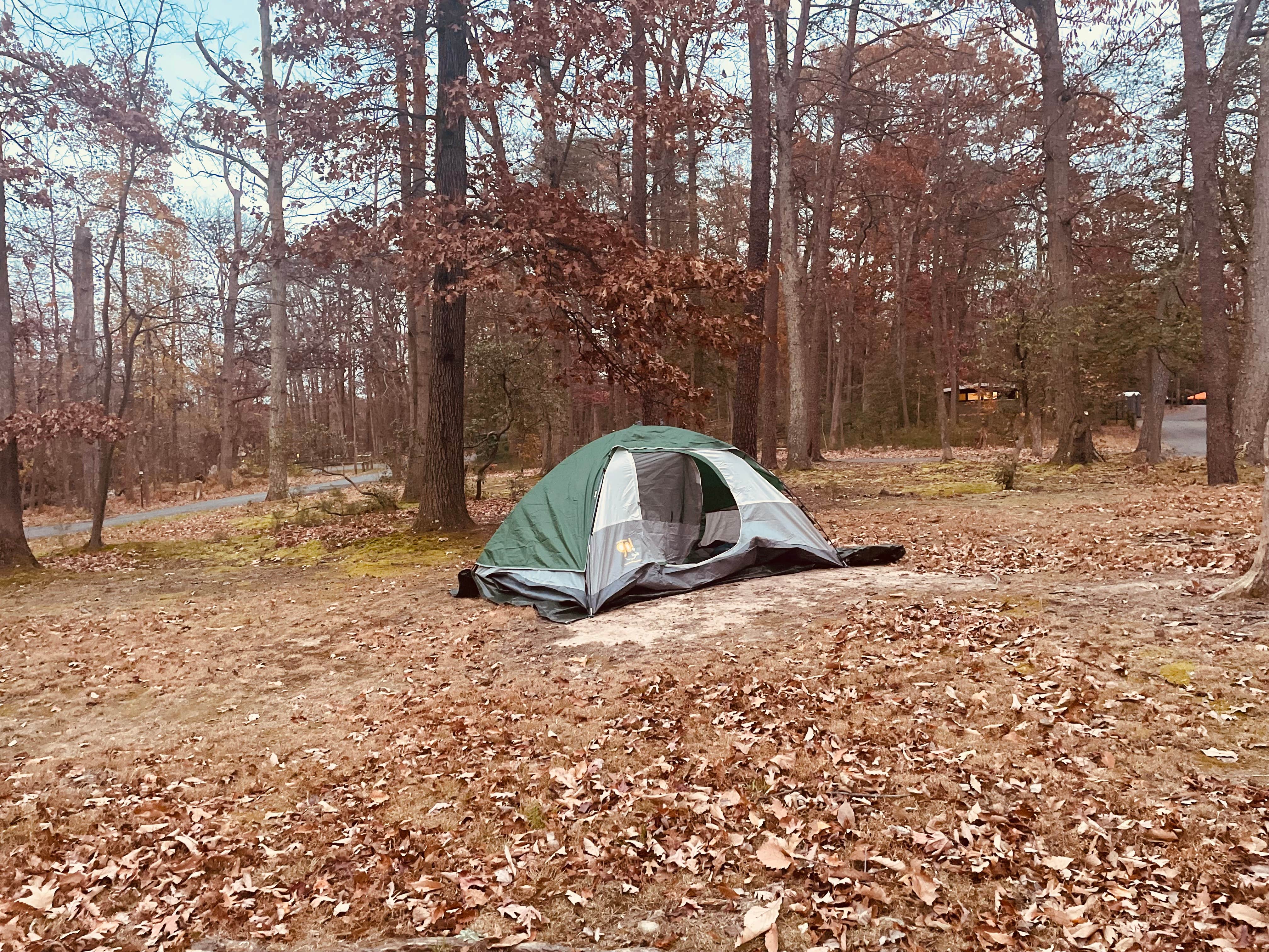 amanda A.'s photo at Greenbelt Park Campground — Greenbelt Park near Temple Hills, MD