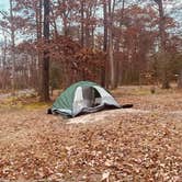 Review photo of Greenbelt Park Campground — Greenbelt Park by amanda A., November 17, 2025