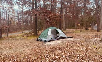 amanda A.'s photo at Greenbelt Park Campground — Greenbelt Park near Sparrows Point, MD