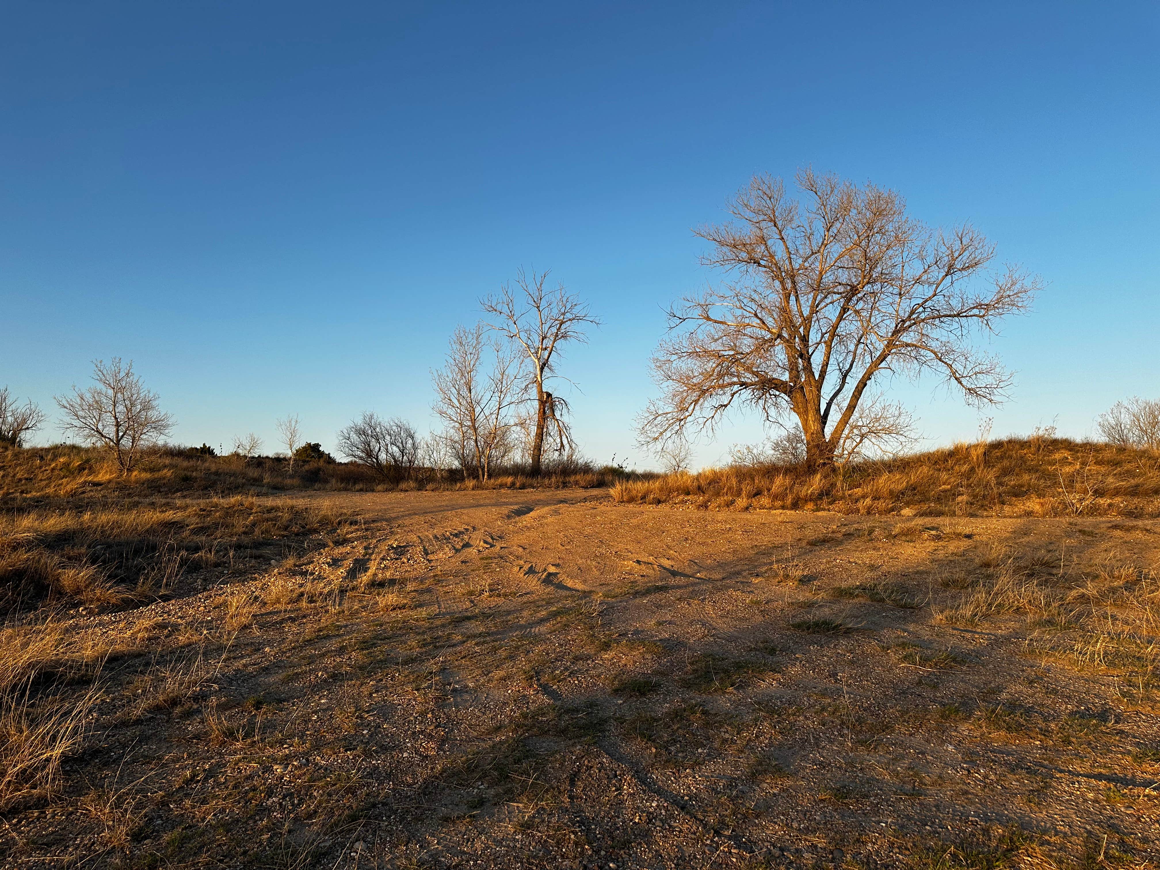 Camper-submitted photo at Greenbelt Reservoir Dispersed near Pampa, TX