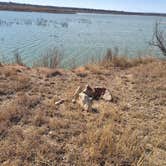 Review photo of Greenbelt Reservoir Dispersed by Will P., March 2, 2026