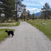 Review photo of Greendale - Ashley National Forest by Greg L., May 15, 2024