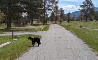 Greg L.'s photo of camping with pets at Greendale - Ashley National Forest near Dutch John, UT