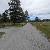 Review photo of Greendale - Ashley National Forest by Greg L., May 15, 2024