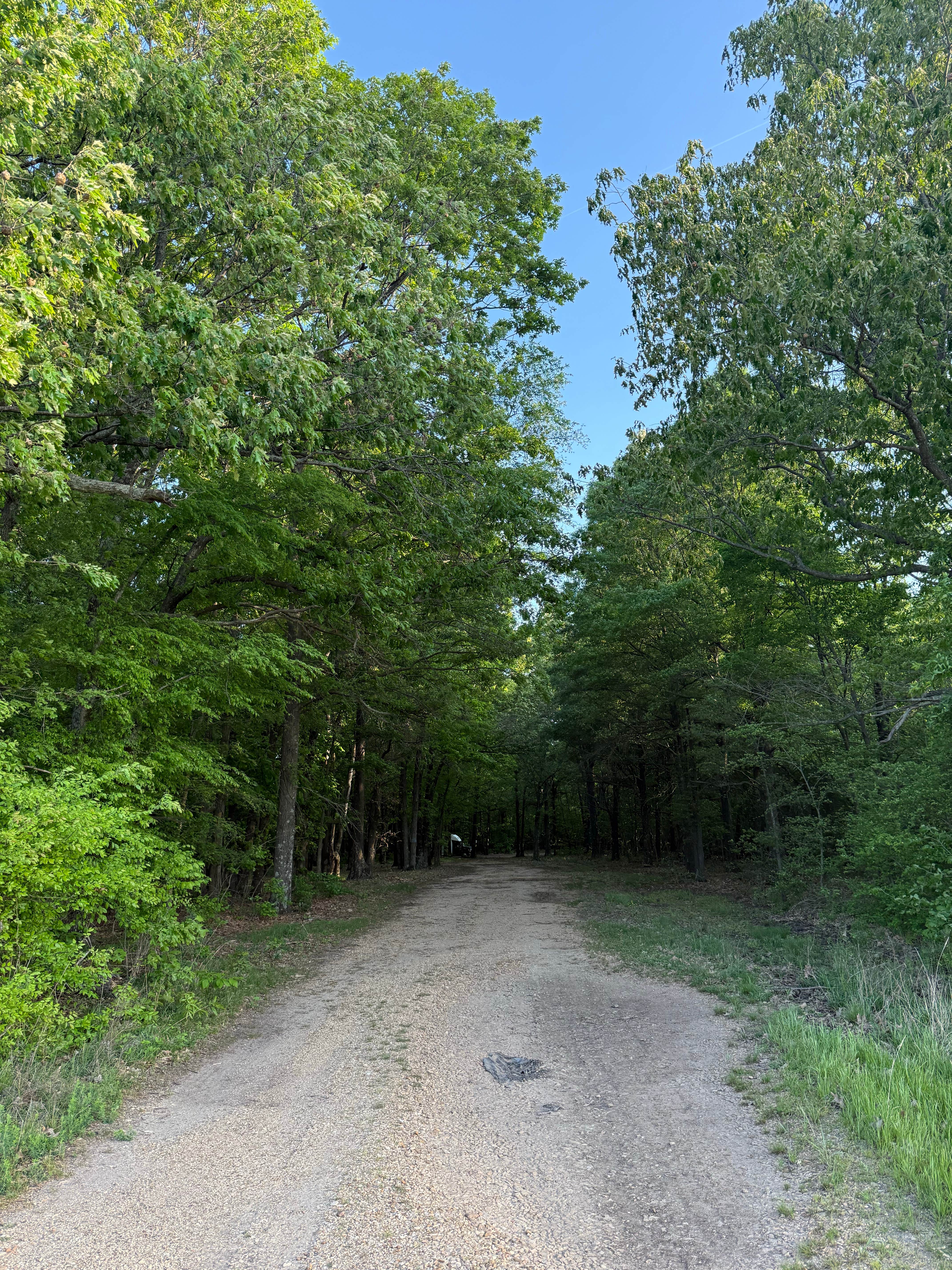 Camper-submitted photo at Greene Road Camp Dispersed near Pocahontas, AR