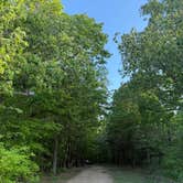 Review photo of Greene Road Camp Dispersed by Sami G., April 20, 2026