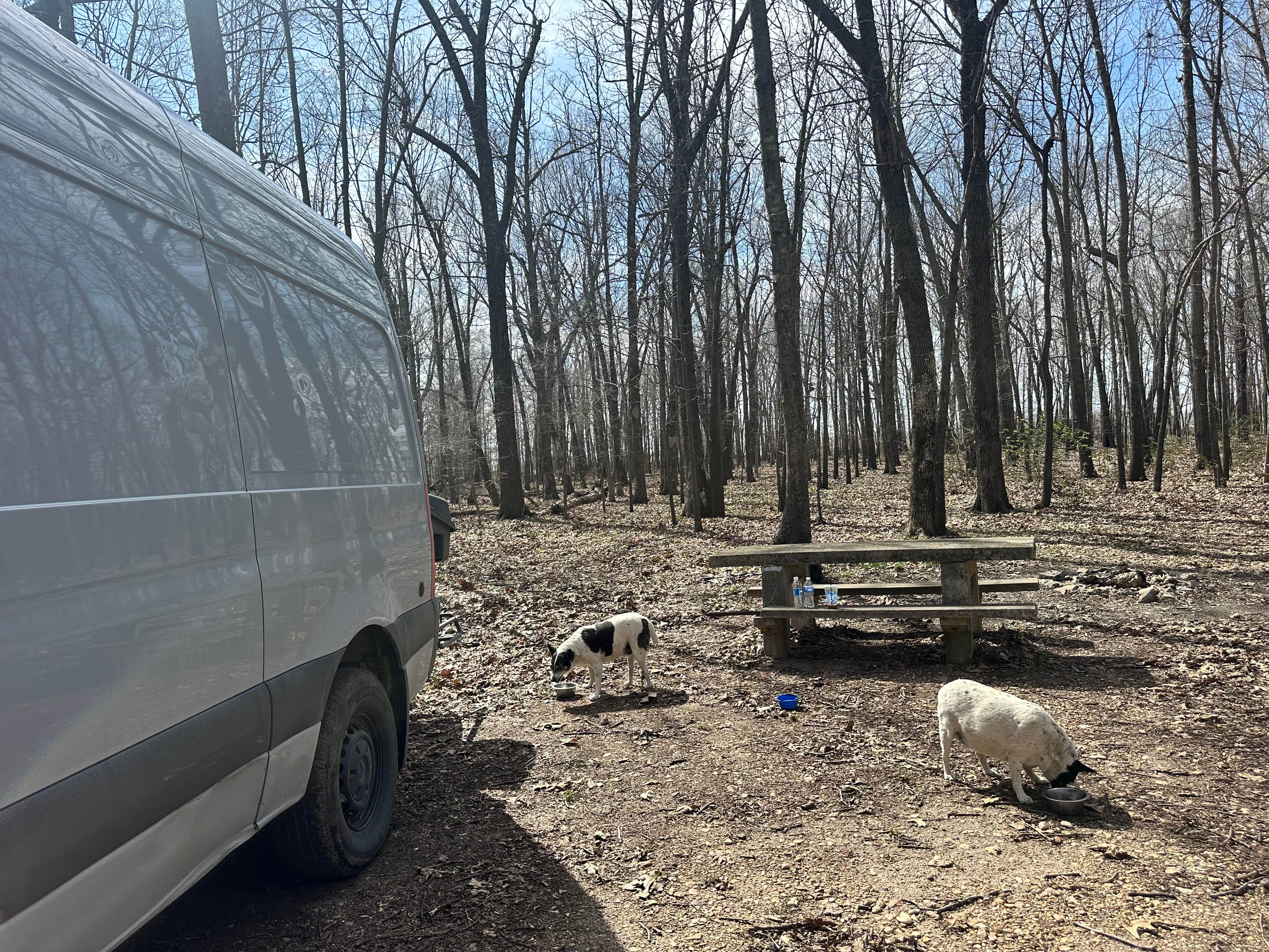 Camper-submitted photo at Greene Road Camp Dispersed near Hoxie, AR