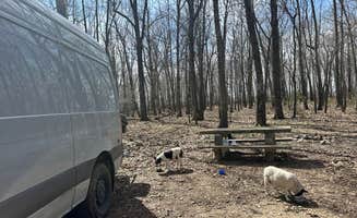 Kevin S.'s photo of camping with pets at Greene Road Camp Dispersed near Thayer, MO
