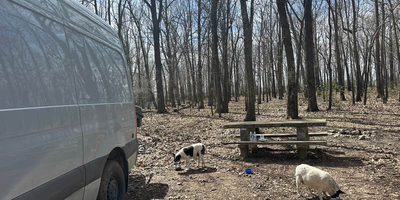 Camper submitted image from Greene Road Camp Dispersed