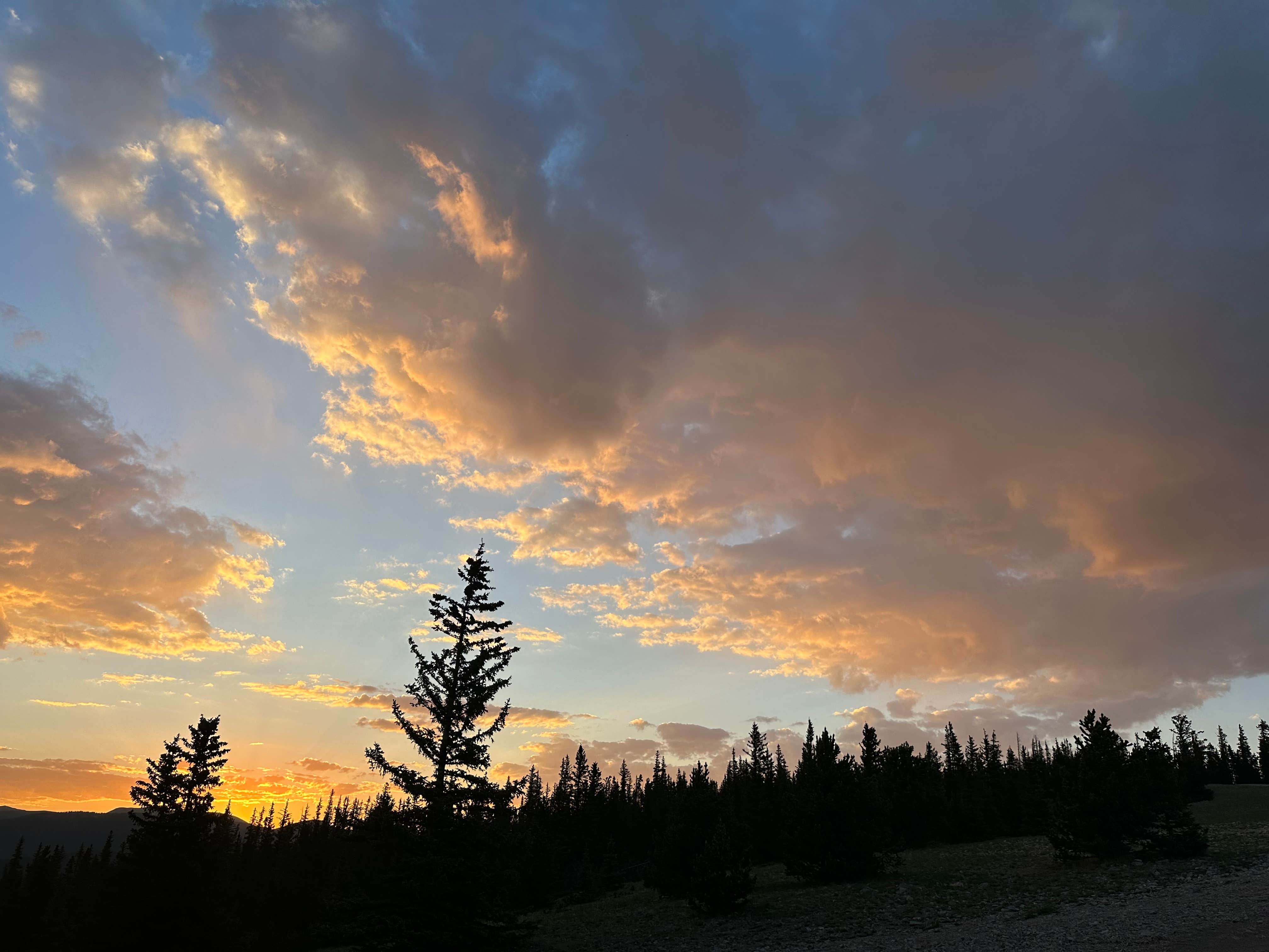 Daniella R.'s photo of a dispersed camping area at Greenie Peak near Costilla, NM