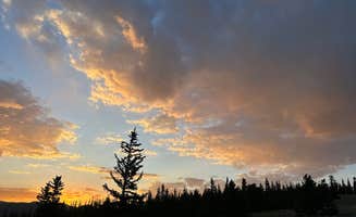 Daniella R.'s photo of a dispersed camping area at Greenie Peak near Cimarron, NM
