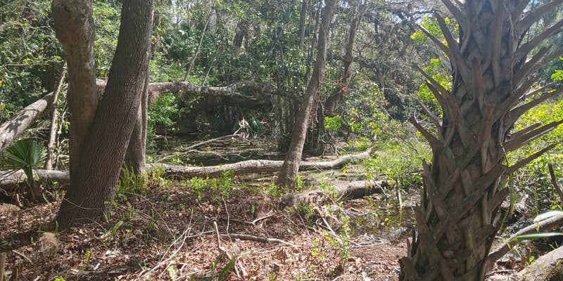 Camper submitted image from Greentree Estates