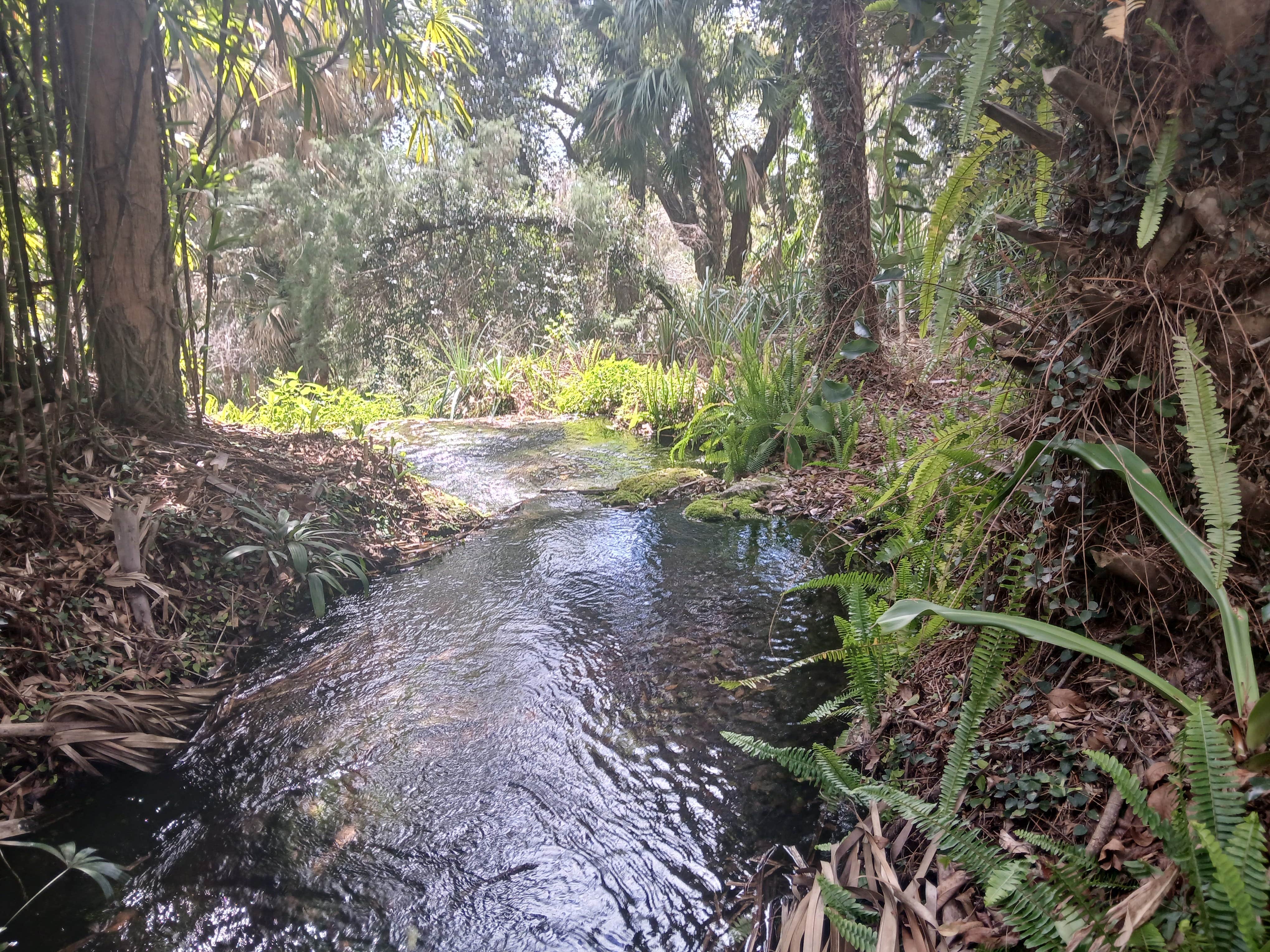 Camper-submitted photo at Greentree Estates near Ocala, FL