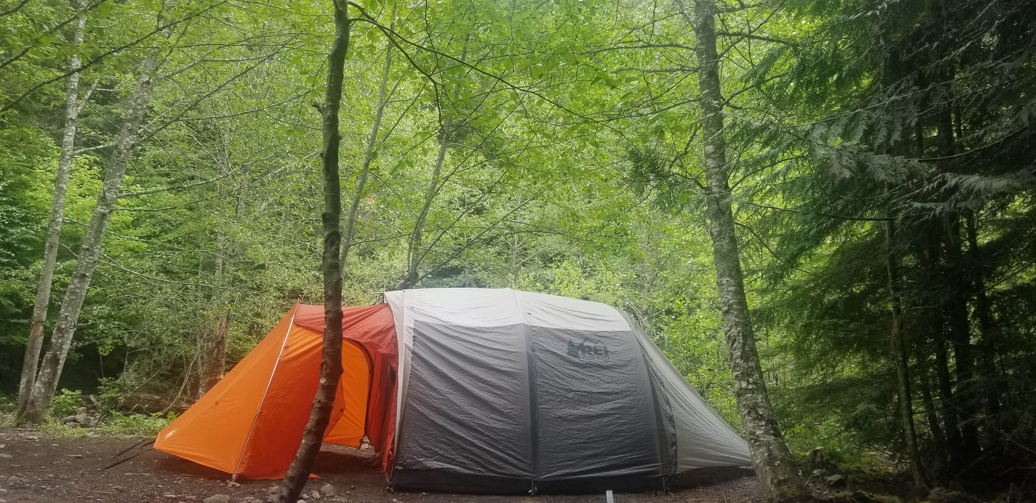 Camper-submitted photo at Greenwater Dispersed Site near Ravensdale, WA
