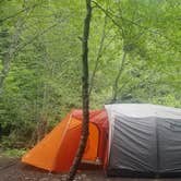 Review photo of Greenwater Dispersed Site by Analaise W., March 28, 2026