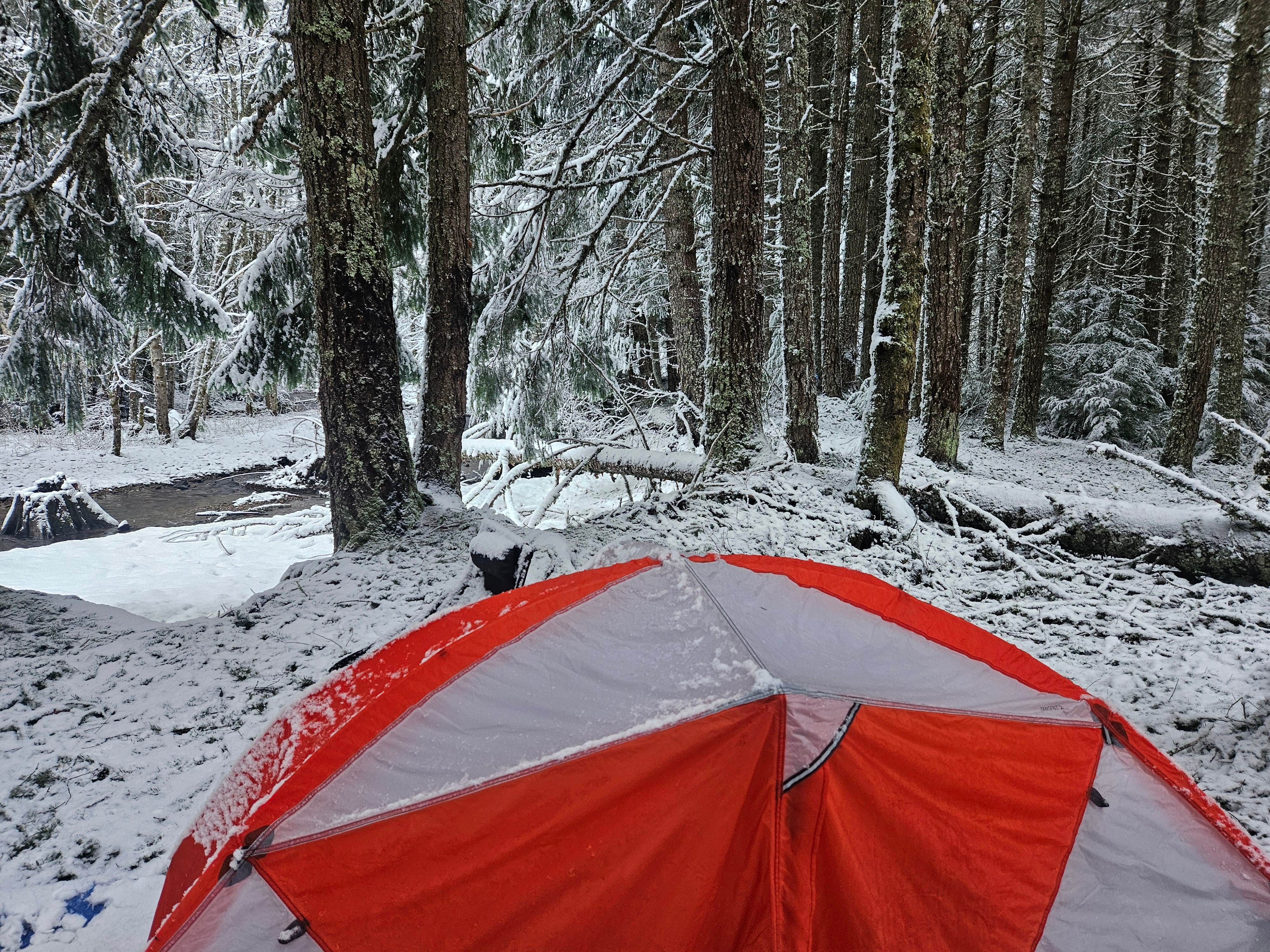 Analaise W.'s photo of a dispersed camping area at Greenwater Dispersed Site near Federal Way, WA