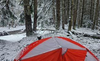 Analaise W.'s photo of a dispersed camping area at Greenwater Dispersed Site in Washington