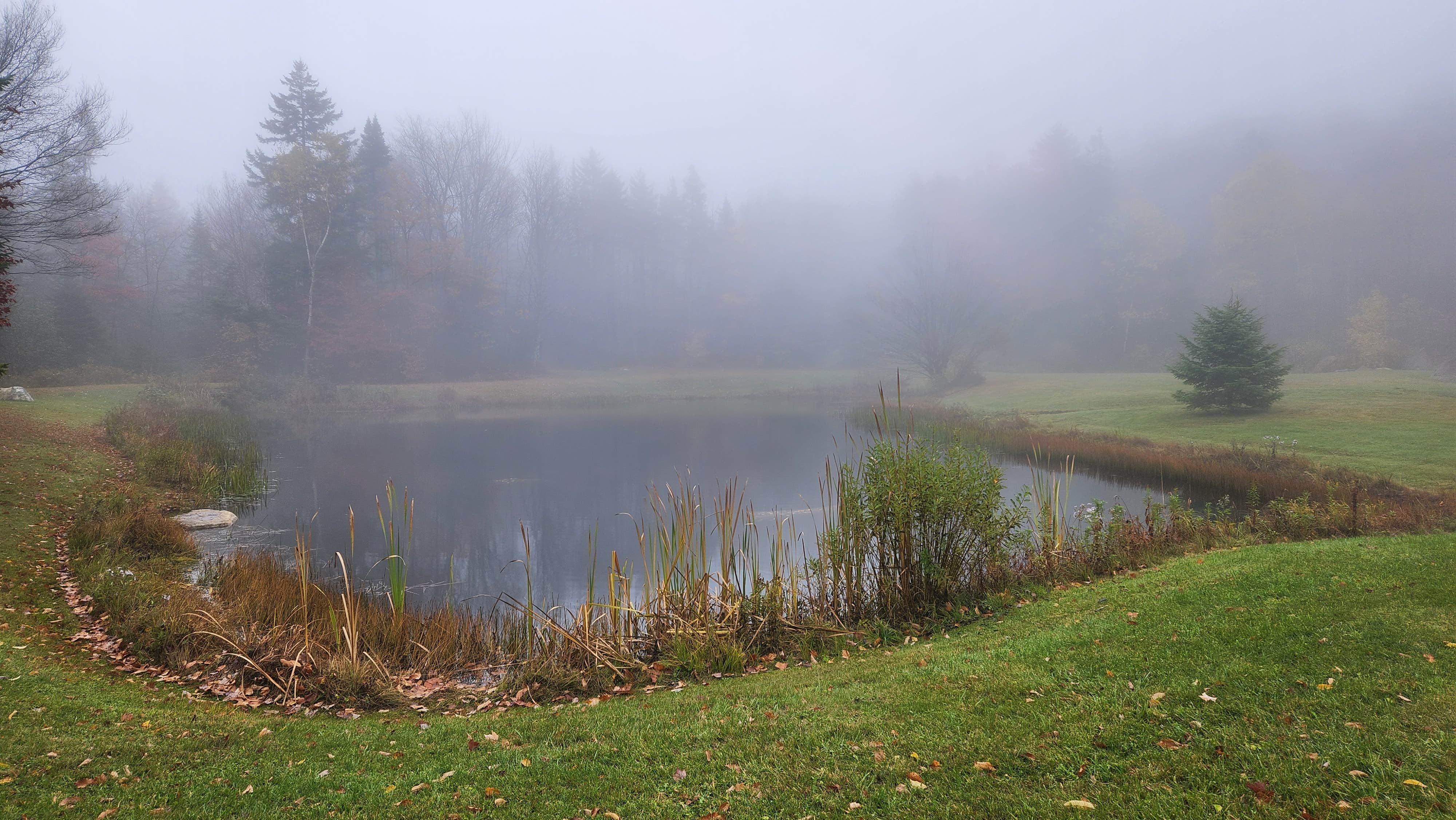 Camper-submitted photo at Greenwood Lodge & Campsites near North Bennington, VT