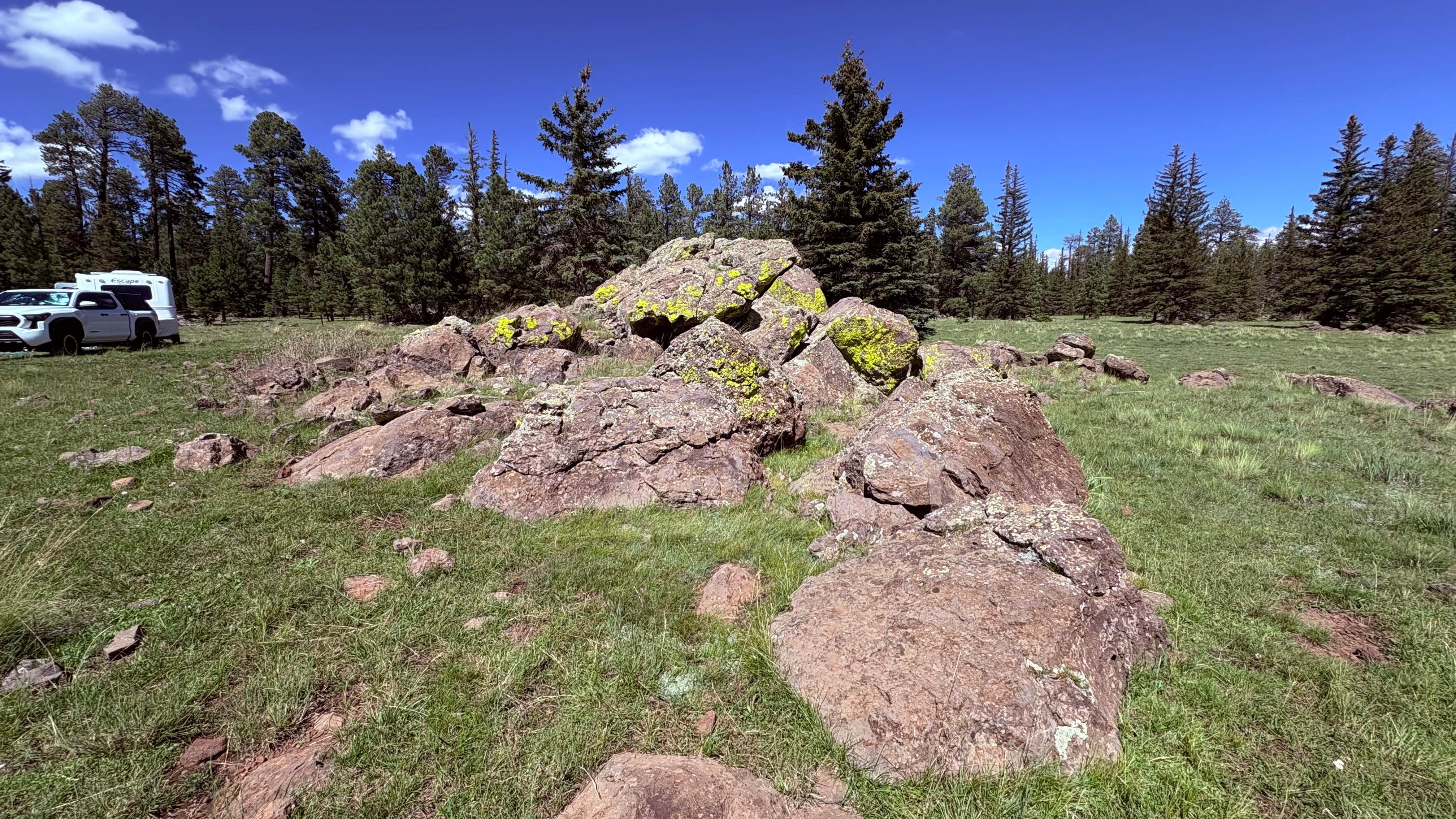 Camping near Pratt Lake Dispersed: Dispersed camping near FR117 near Greer, Greer, Arizona