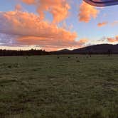 Review photo of Dispersed camping near FR117 near Greer by beth S., September 9, 2026