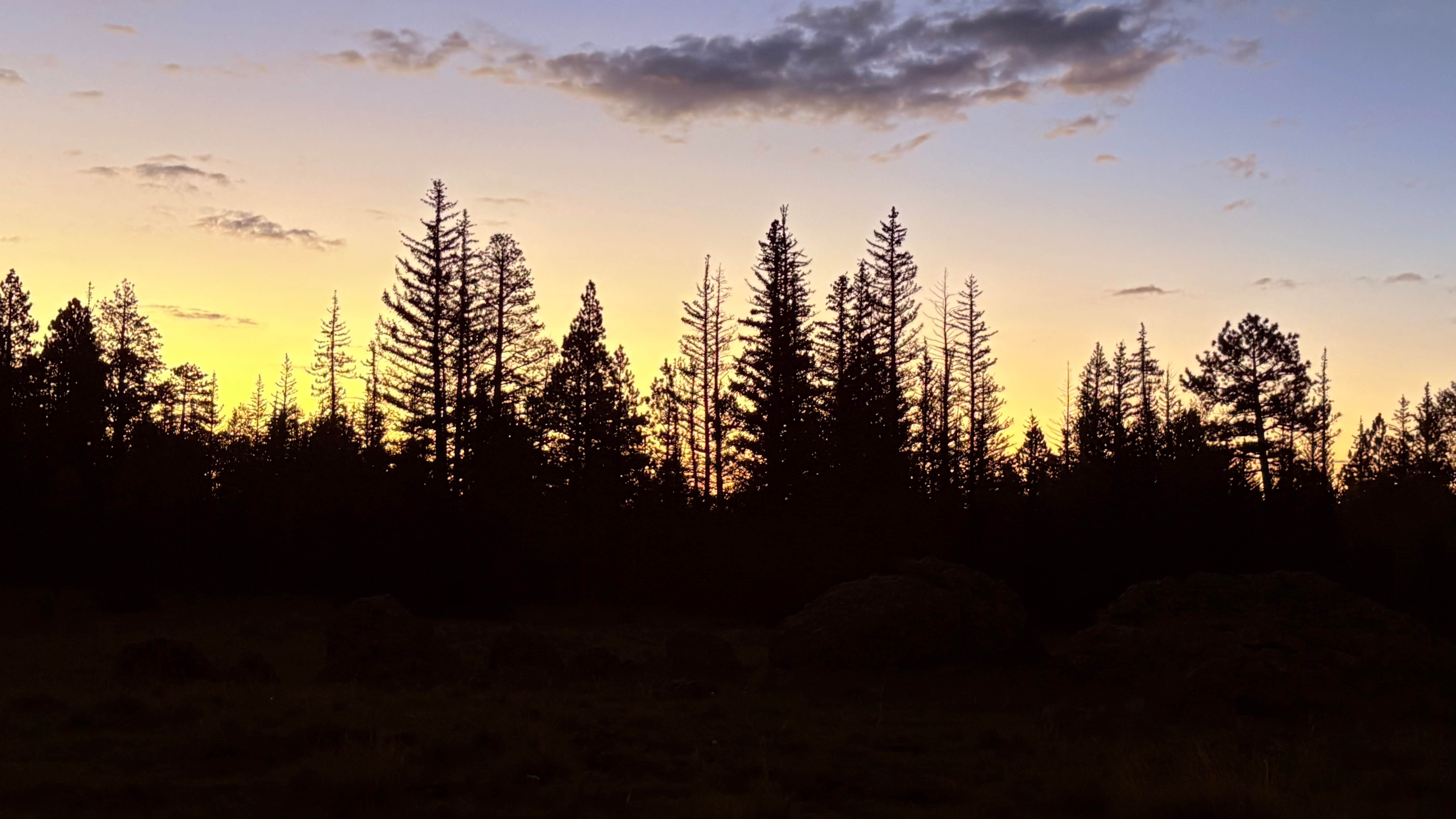 Camper-submitted photo at Dispersed camping near FR117 near Greer near Blue, AZ