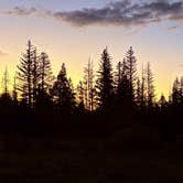 Review photo of Dispersed camping near FR117 near Greer by beth S., September 9, 2026