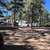 Review photo of Flagstaff RV Park (formally Greer's Pine Shadows RV Park) by MARILYN H., May 27, 2026