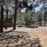 Review photo of Flagstaff RV Park (formally Greer's Pine Shadows RV Park) by MARILYN H., May 27, 2026
