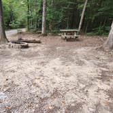 Review photo of Greeter Falls Campground by Michelle P., September 12, 2024