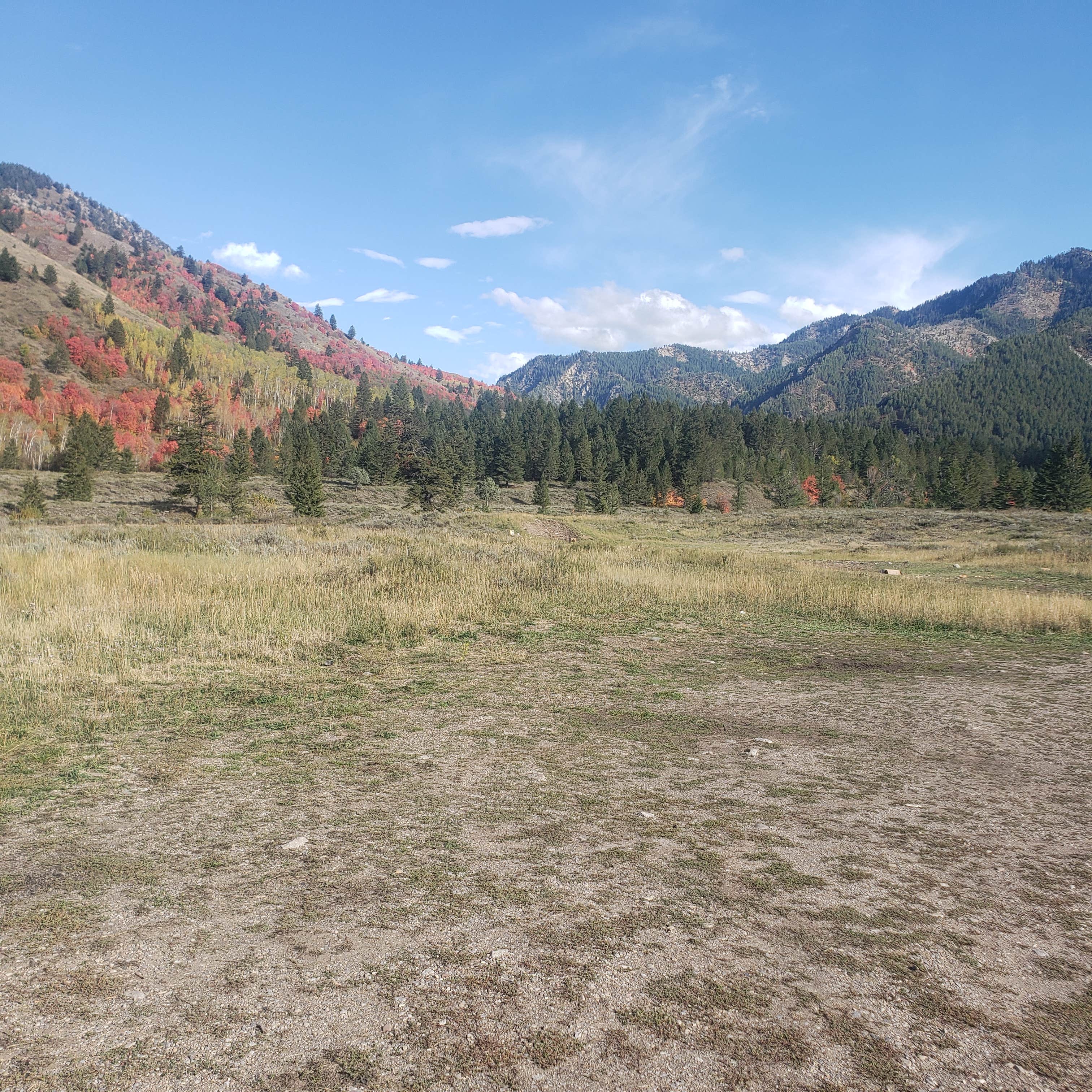Camper-submitted photo at Grey's River on Forest Road 10023 near Alpine, WY