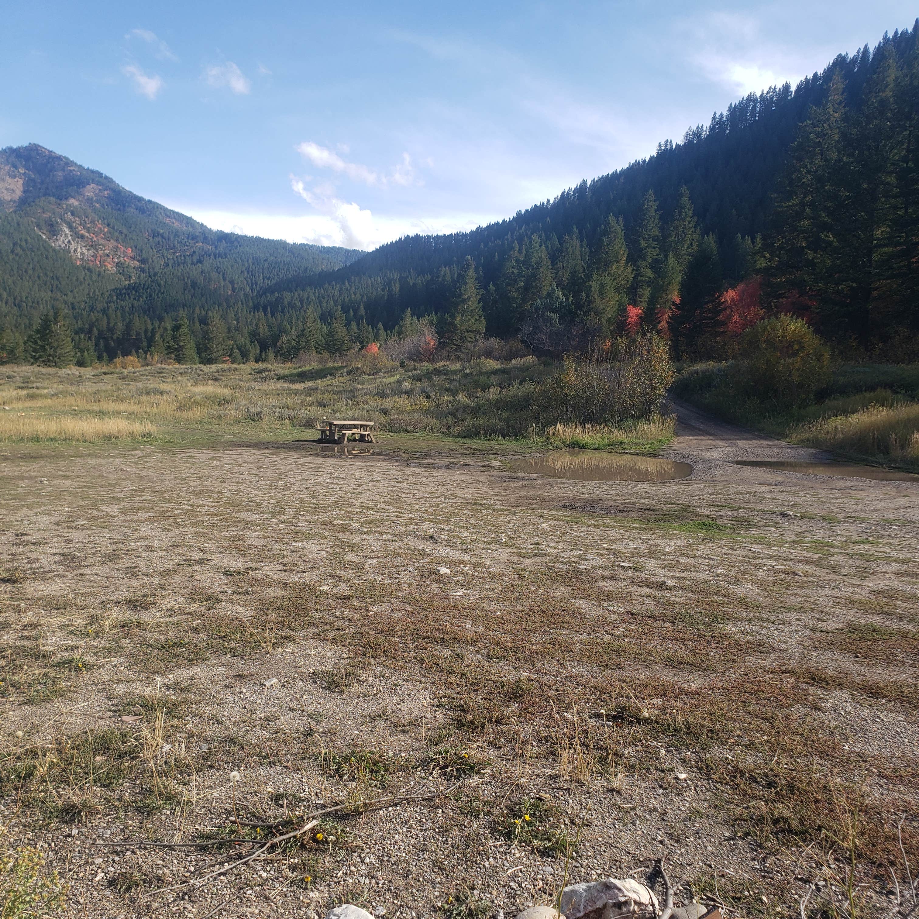 Camper-submitted photo at Grey's River on Forest Road 10023 near Alpine, WY