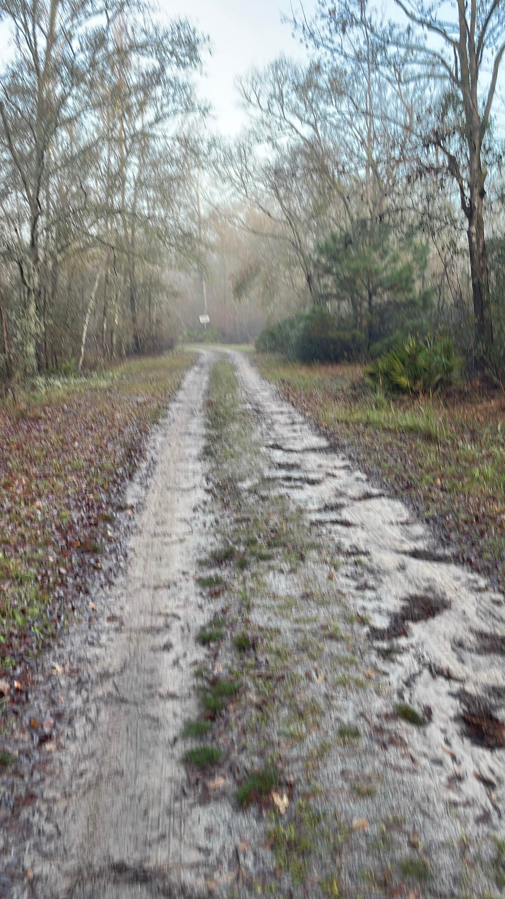 Camper submitted image from Griffis Fish Camp - 3