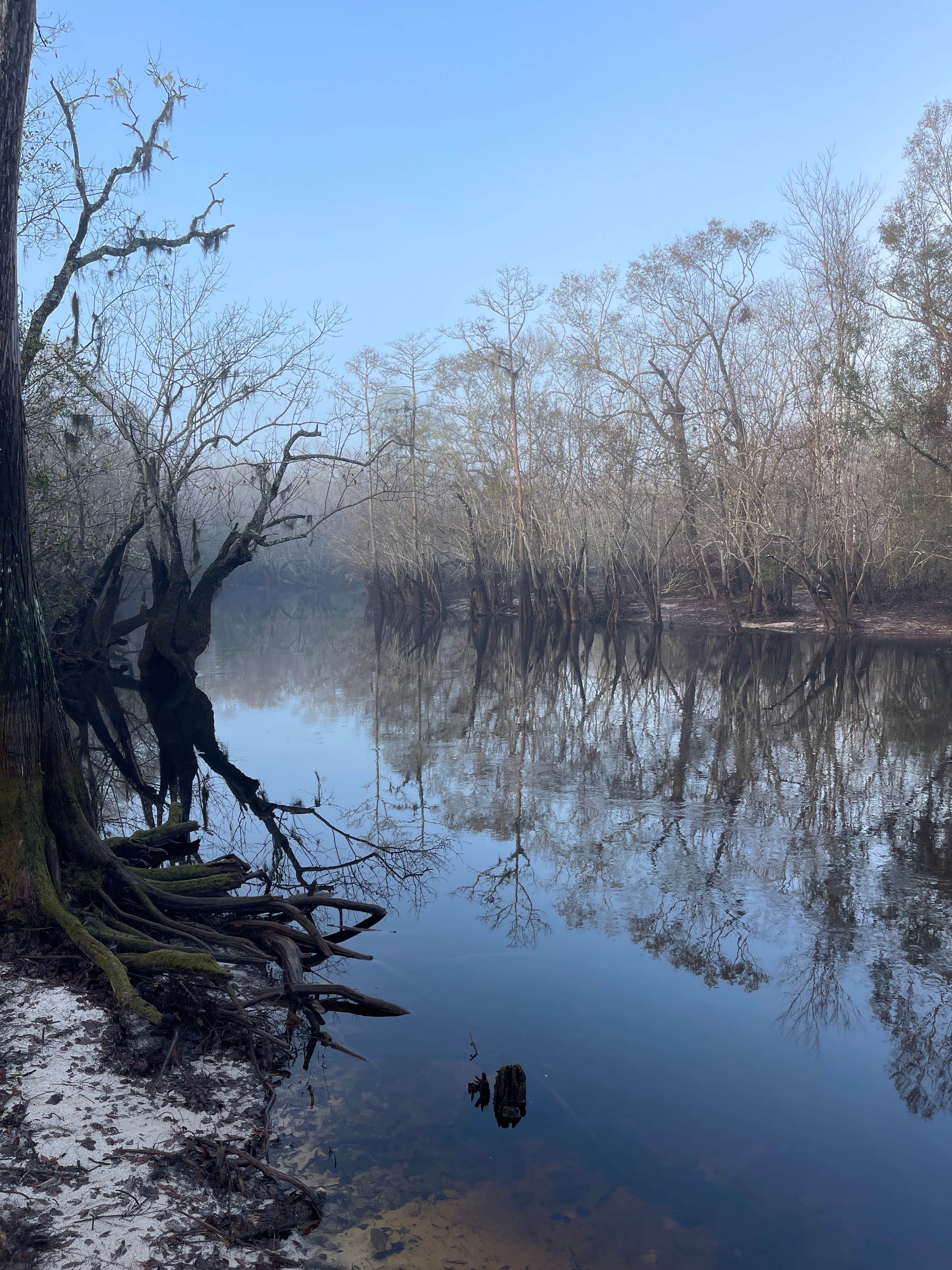 Camper submitted image from Griffis Fish Camp - 5