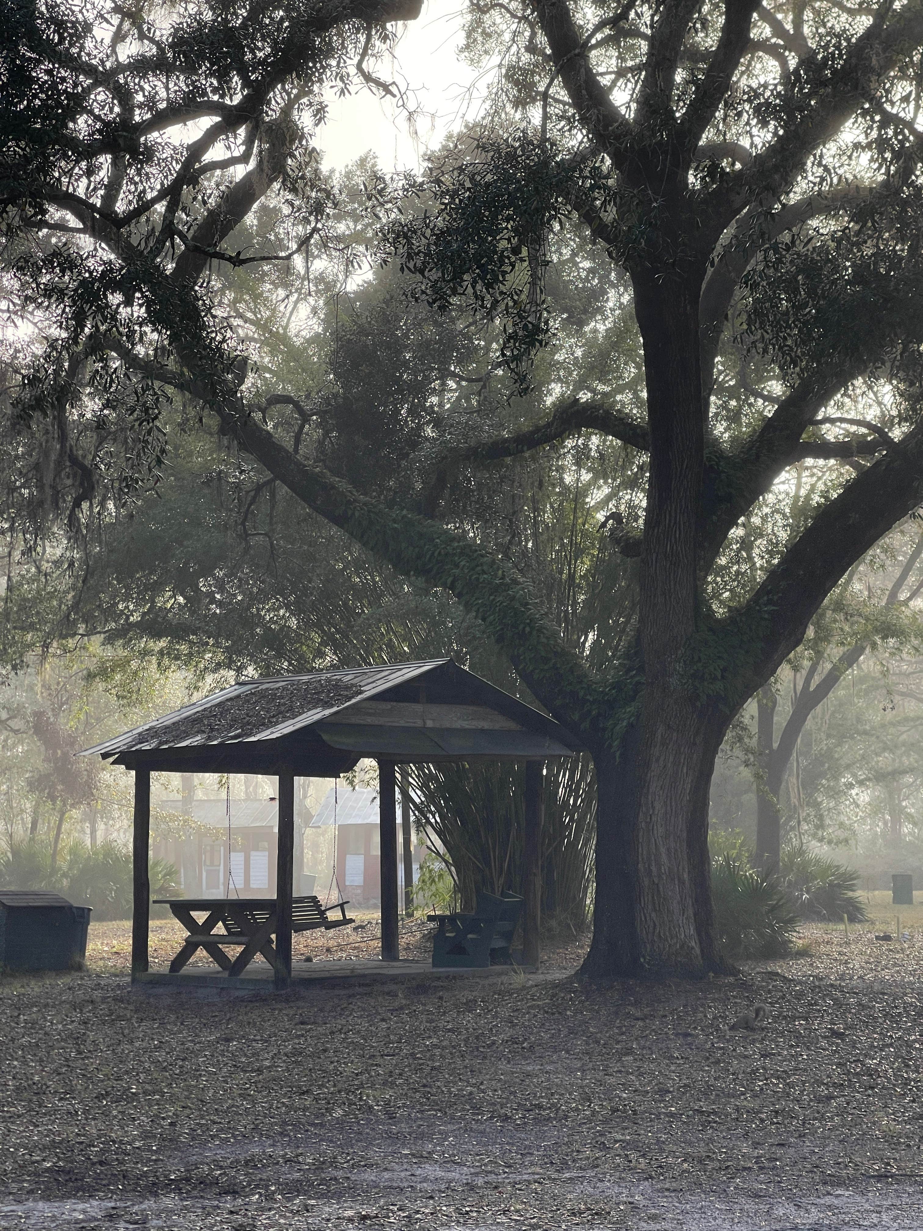 Camper-submitted photo at Griffis Fish Camp near Waycross, GA