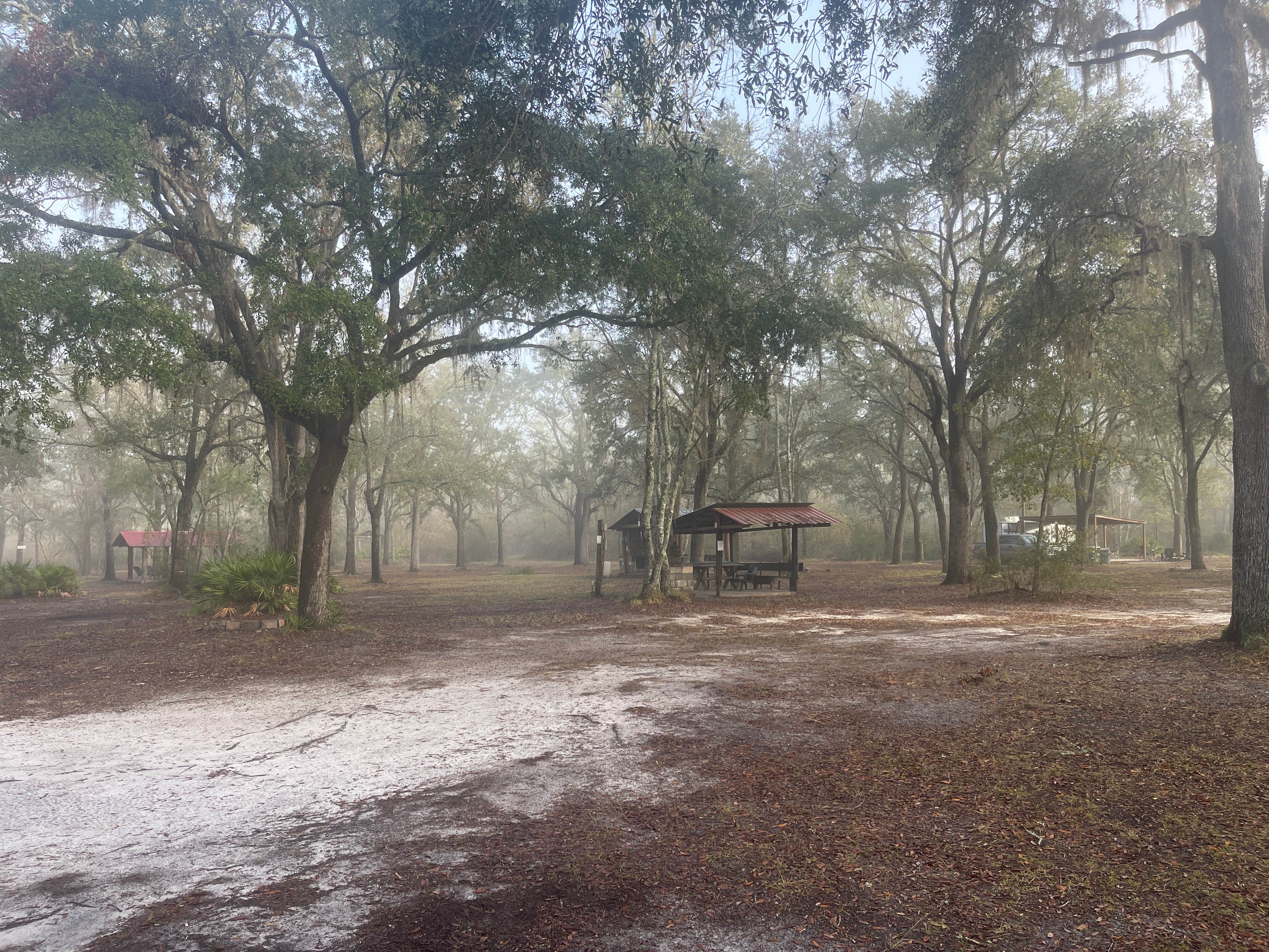 Camper-submitted photo at Griffis Fish Camp near Waycross, GA