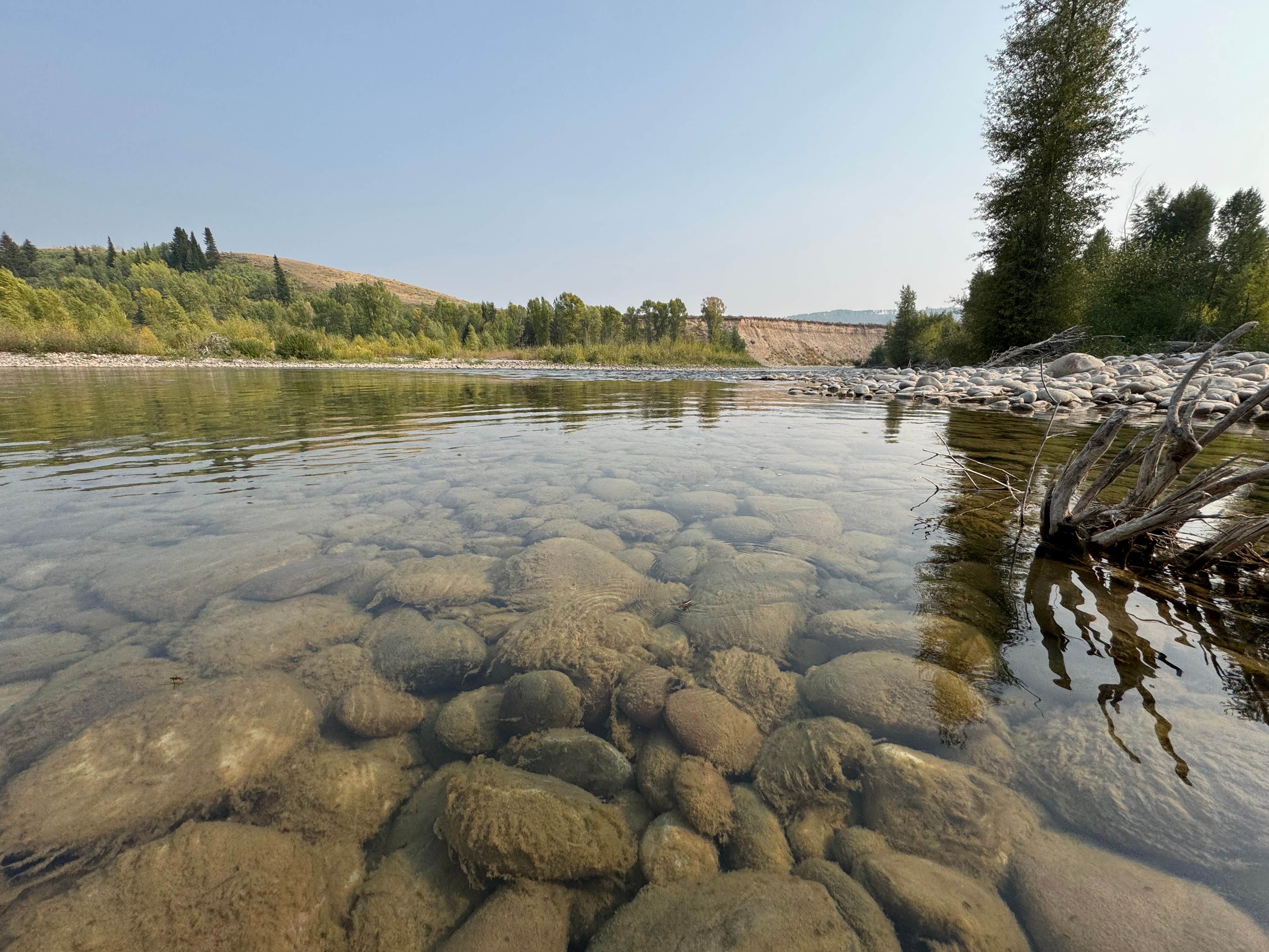 Camper submitted image from Gros ventre - 1
