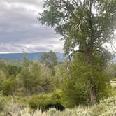 Review photo of Gros Venture Campground by Ash P., July 1, 2026