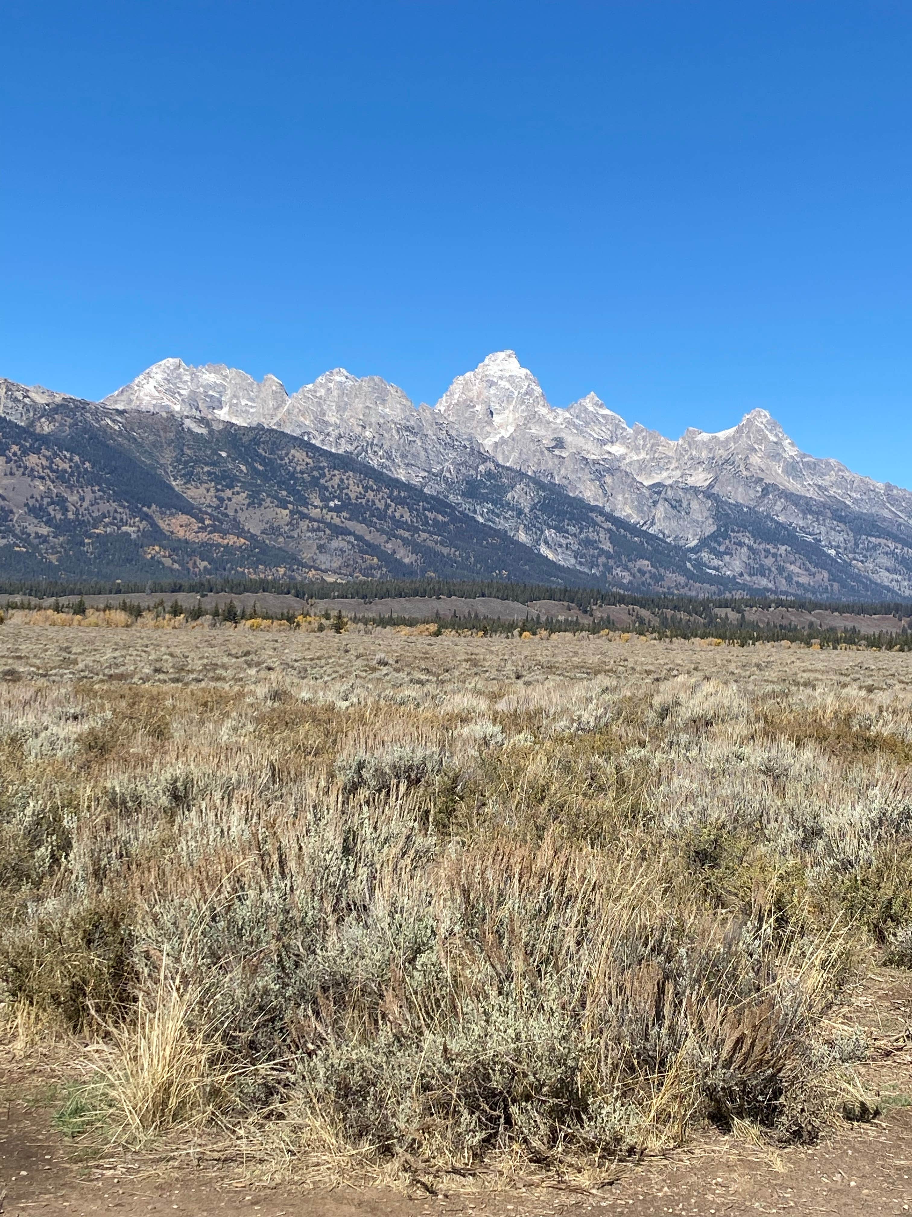 Camping near Gros Ventre Campground — Grand Teton National Park: Gros Venture Campground, Kelly, Wyoming