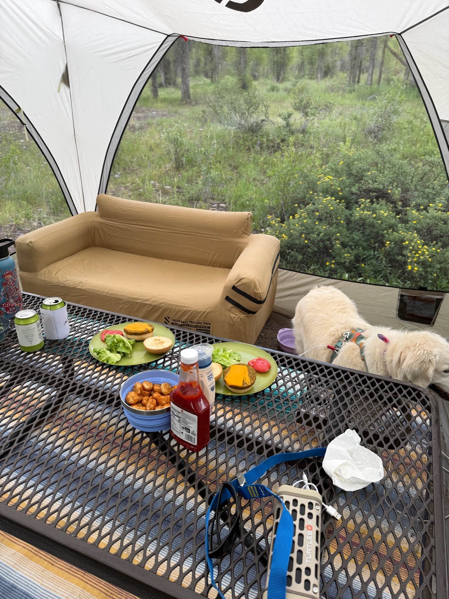 Matt F.'s photo at Gros Venture Campground near Jackson, WY
