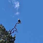 Review photo of Gross Reservoir Dispersed by Alicia O., June 29, 2026