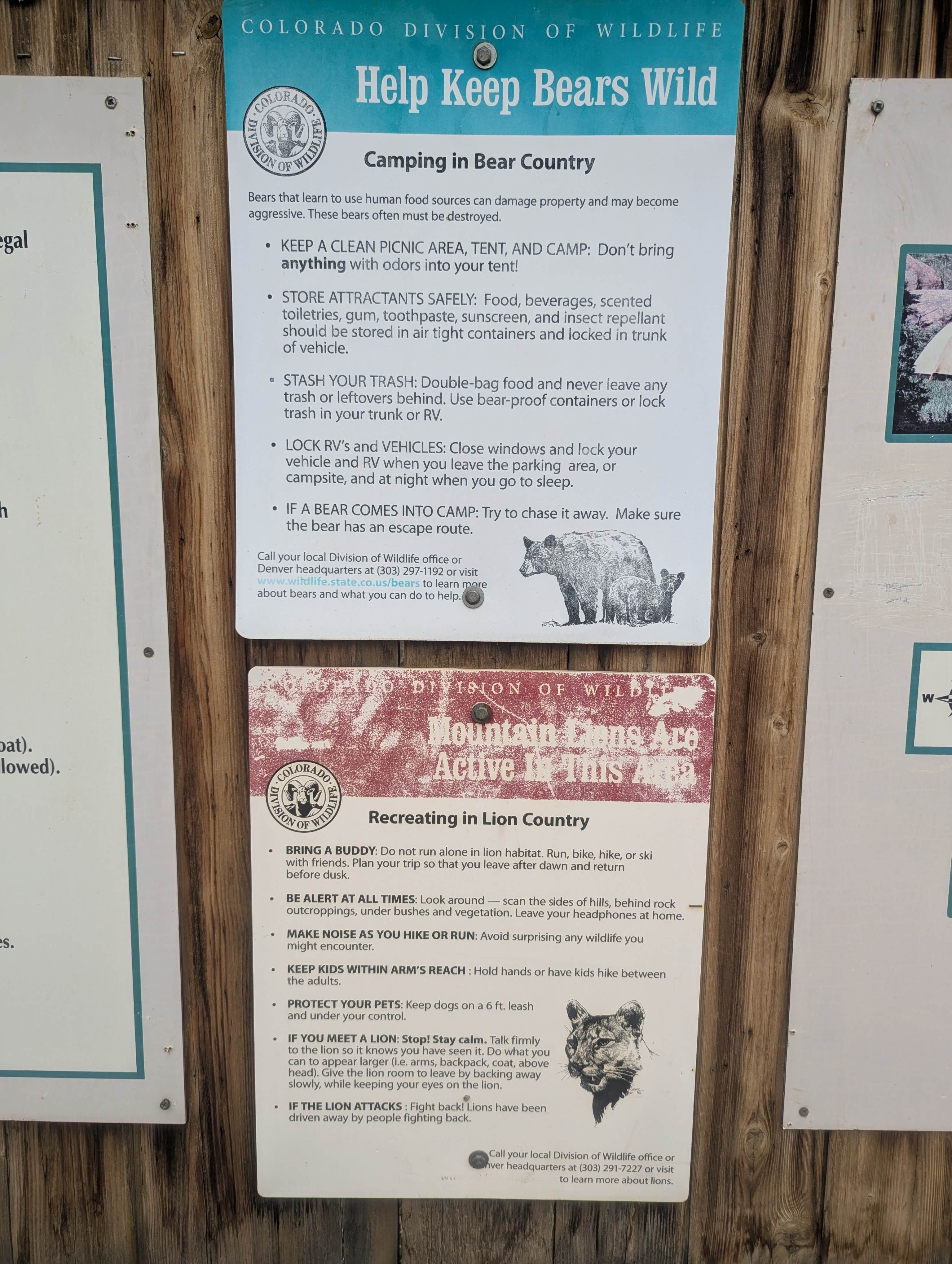 Conner R.'s photo of camping with pets at Gross Reservoir Dispersed near Twin Lakes, CO