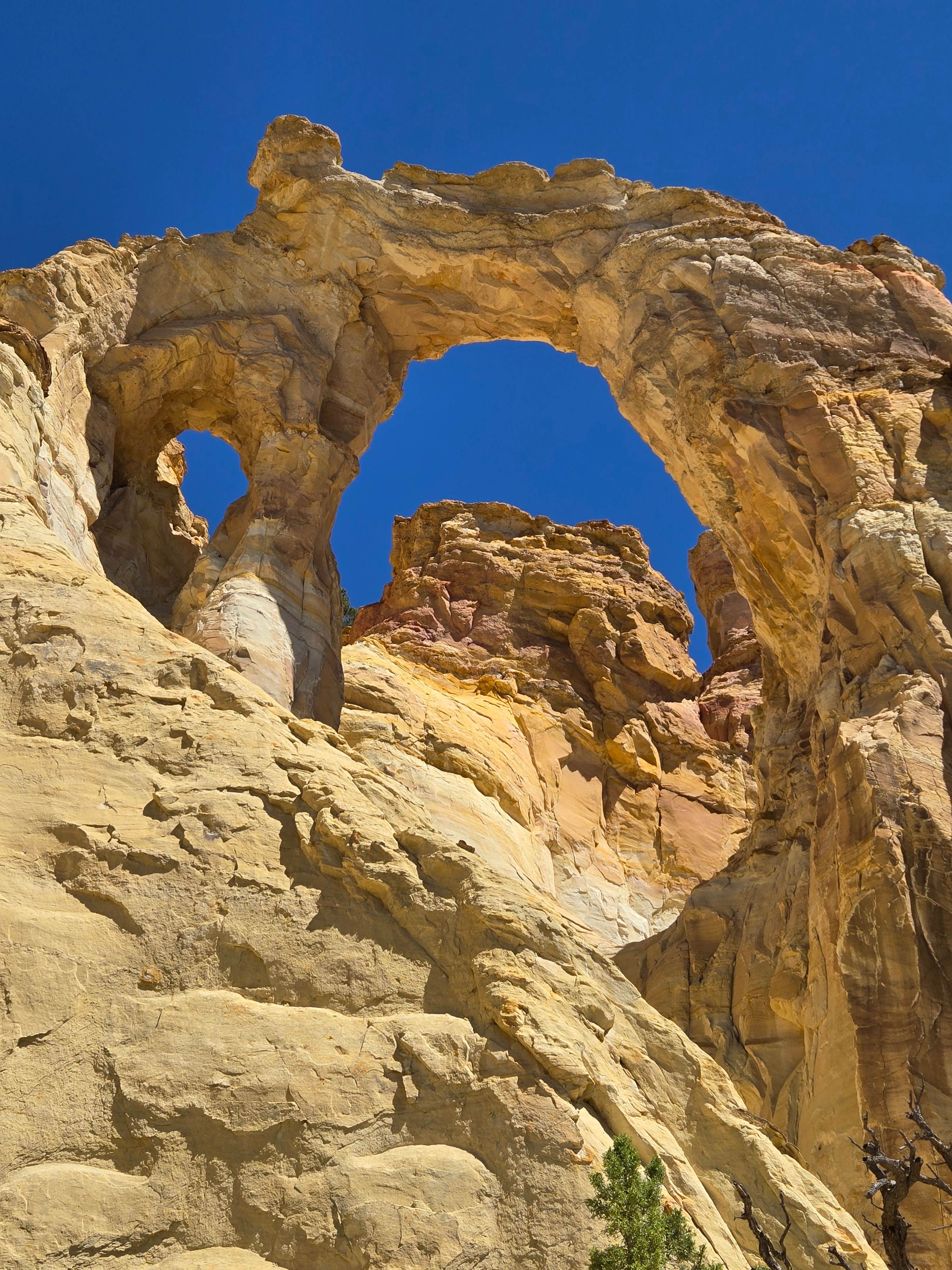 Camping near Cottonwood Spur: Grosvenor Arch dispersed, Henrieville, Utah