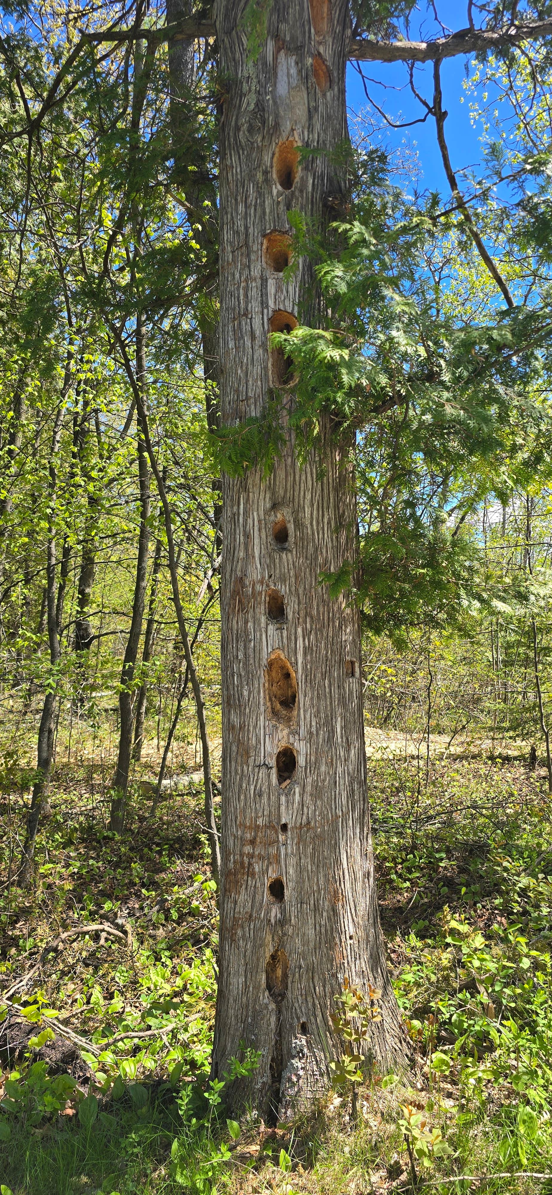 Camping near Hy-Land Court RV Park: Group Camps — Peninsula State Park, Fish Creek, Wisconsin