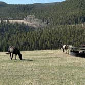 Review photo of Grouse Mountain Basecamp on Forest Road 403 by Hayley S., May 4, 2025