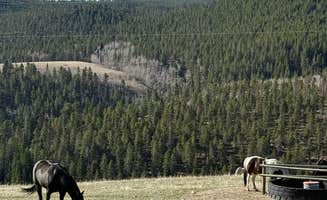 Hayley S.'s photo of camping with pets at Grouse Mountain Basecamp on Forest Road 403 near Bighorn Canyon National Recreation Area