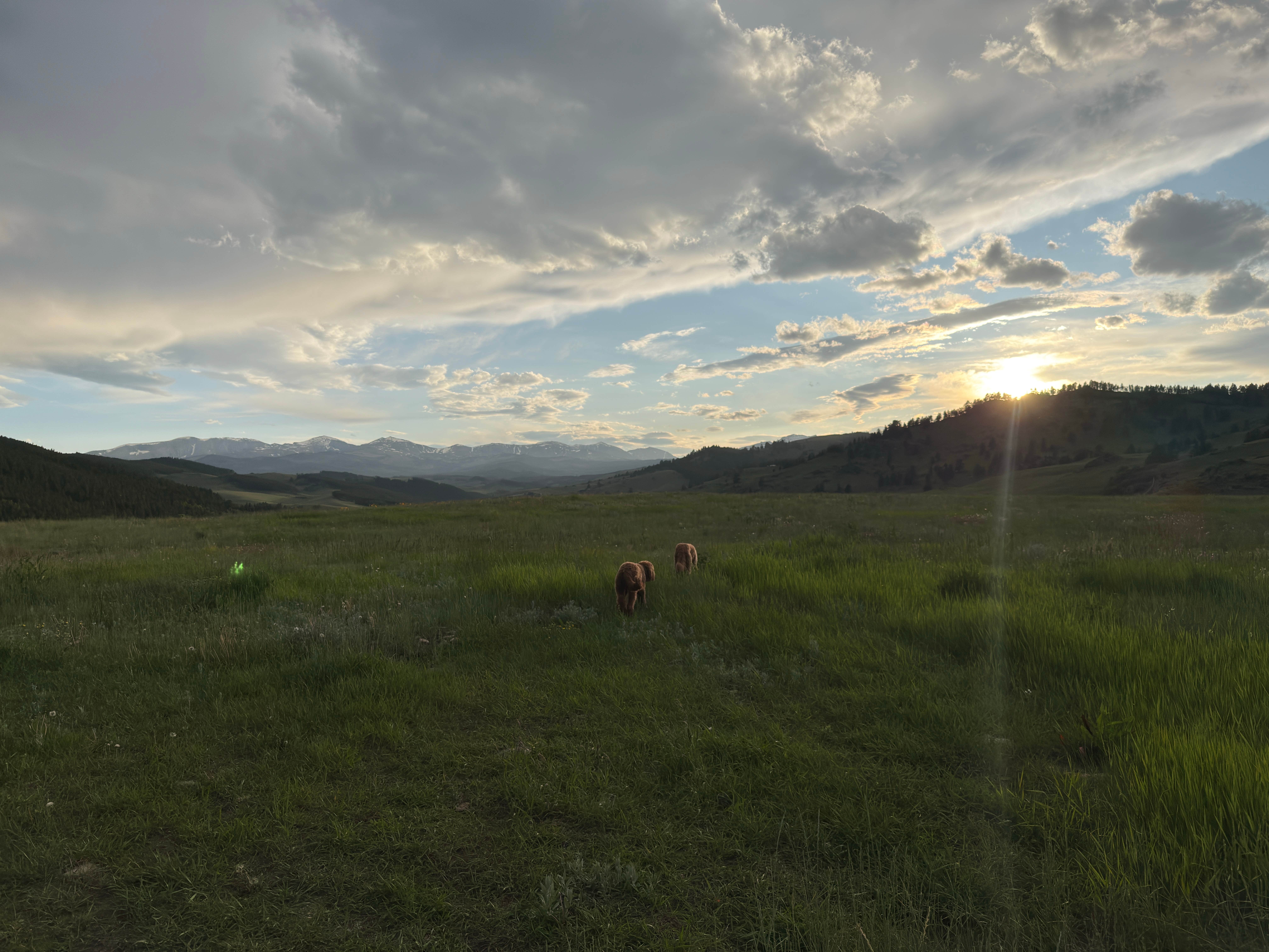 Adela S.'s photo of a dispersed camping area at Grouse Mountain Basecamp on Forest Road 403 in Wyoming